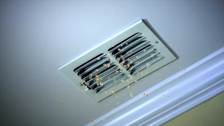 Best Best Air Duct Cleaning Company  in Coralville, IA